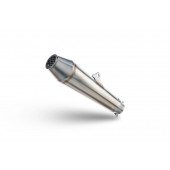 TRX 250X 2009 - 2025