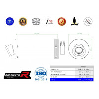 Dominator - Pegaso 650 kipufogó GP 1 2001 - 2004