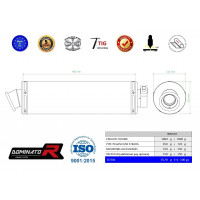 Dominator - Pegaso 650 Strada kipufogó ROUND 2005 - 2006