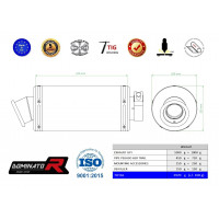 Dominator - Pegaso 650 Trail kipufogó GP 1 2006 - 2010