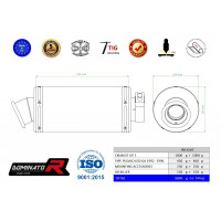 Dominator - Pegaso 650 GA kipufogó GP 1 1992 - 1996