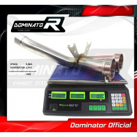 Dominator - S1000RR Cat Eliminator DECAT 2009 - 2011