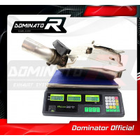 Dominator - S1000RR Exhaust Cat Eliminator DECAT 2012 - 2014