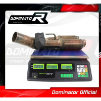 Dominator - S1000RR Exhaust Cat Eliminator DECAT 2015 - 2016