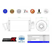 Dominator - NT 650 V Deauville RC47 kipufogó GP 1 1998 - 2005