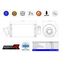 Dominator - CBF 600 Homologated kipufogó GP 1 2008 - 2013