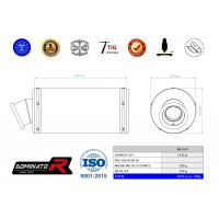 Dominator - ZX12R kipufogó GP 1 2000 - 2005
