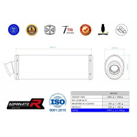 Dominator - ZX10R kipufogó OVAL 2006 - 2007