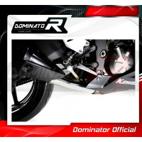Dominator - ZX6R ZX636 Exhaust Cat Eliminator DECAT 2009 - 2016