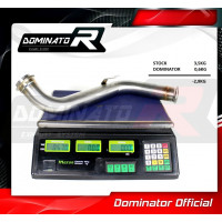 Dominator - RC 125 Cat Eliminator DECAT 2017 - 2020