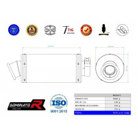 Dominator - RC 125 kipufogó GP 1 2017 - 2020