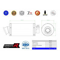 Dominator - 250 DUKE kipufogó GP 1 2017 - 2020