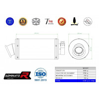 Suzuki GSF 650 BANDIT N / S 2005 - 2006 Dominator teljes kipufogó rendszer Collector Silencer GP1 BLACK + dB killer medium