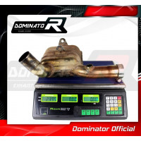 Dominator - TIGER 900 T709 Exhaust Cat Eliminator DECAT 1999 - 2000