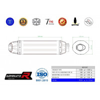 Yamaha YZF R1 1000 RN22 2009 - 2011 Dominator kipufogó HP1 + dB killer medium