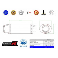 Yamaha FZ6 FAZER 600 S1 2004 - 2010 Dominator kipufogó HP3 + dB killer medium