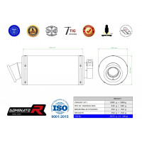 Dominator - BT 1100 BULLDOG kipufogó GP 1 2001 - 2007
