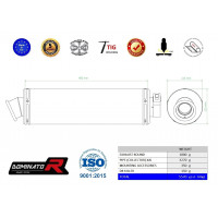 Dominator - XJ6 N / S / F 600 Diversion Exhaust FULL SYSTEM Silencer ROUND 2009 - 2016