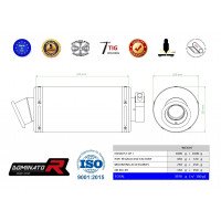 Dominator - Pegaso 650 Strada kipufogó GP 1 2007 - 2010