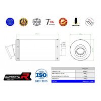 Dominator - F650 CS kipufogó GP 1 2002 - 2005
