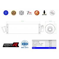 Dominator - BMW R1250R 2019 - 2020 kipufogó ST
