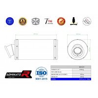 Dominator - ZX9R kipufogó GP 1 1998 - 2002