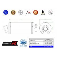 Dominator - MZ 1000 S/ ST/ SF kipufogó GP1 2004 - 2007