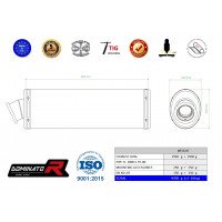 Dominator - TL 1000 S kipufogó OVAL 1997 - 2000