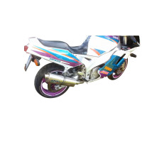 GPR - Yamaha Fzr 1000 Ex-Up 1989 & 1991/95 (no 1990) Trioval