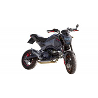 GPR - Honda Msx - Grom 125 2013/2017 Deeptone Inox