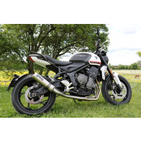 GPR - Triumph Trident 660 2021/2024 e5 M3 Titanium Natural