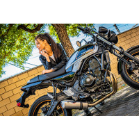 GPR - Kawasaki Z 650 RS - ZR 650 RS Ann. 2021/2023 e5 Satinox