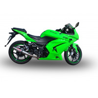 GPR - Kawasaki Ninja 250 R 2007/2016 Deeptone Inox