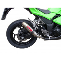 GPR - Kawasaki Ninja 300 R 2012/2017 e3 Deeptone Inox