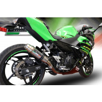 GPR - Kawasaki Ninja 400 2018/2022 e4 Deeptone Inox