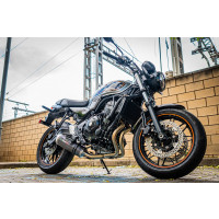 GPR - Kawasaki Z 650 RS - ZR 650 RS Ann. 2021/2023 e5 Satinox Poppy 