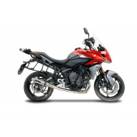GPR - Triumph Trident 660 2021/2024 e5 Deeptone Inox