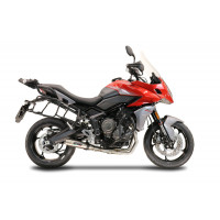 GPR - Triumph Trident 660 2021/2024 e5 Deeptone Inox