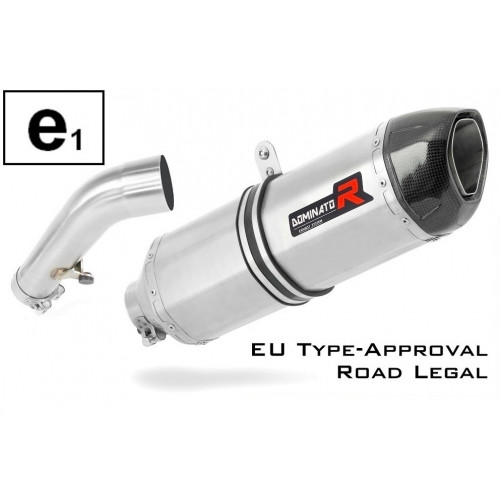 Dominator - R1200R Homologated kipufogó HP1 2006 - 2009