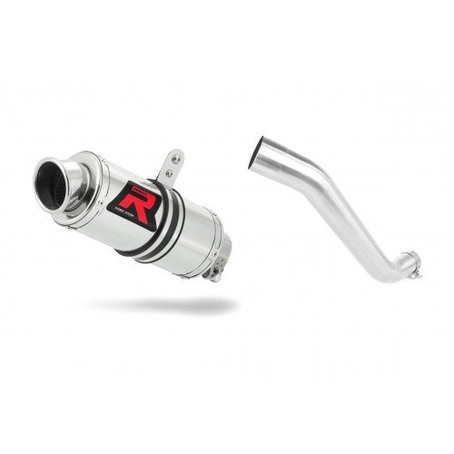 Dominator - Tuono V4 1100 RR kipufogó GP 1