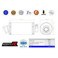 Tuono V4 R APRC LOW LEVEL kipufogó GP 1