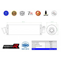 R1200R Homologated kipufogó OVAL 2006 - 2009