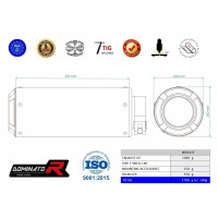 Dominator - BMW F900R 2020 - 2023 kipufogó GP BLACK