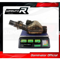 Dominator - Ninja H2 SX Exhaust Cat Eliminator DECAT 2018 - 2020