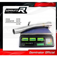 Dominator - Ninja H2 SX Exhaust Cat Eliminator DECAT 2018 - 2020
