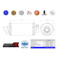 Dominator - XJ 900 kipufogó GP 1 1994 - 2003