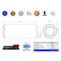 FZ 8 N / FZ8 S FAZER Homologated kipufogó GP 2010 - 2016