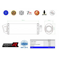Dominator - XT 125 X kipufogó MX2
