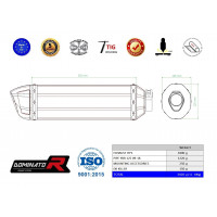 Dominator - YBR 125 Exhaust FULL SYSTEM Silencer HP1 2009 - 2018