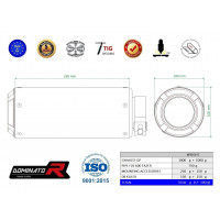 Dominator - YAMAHA FZ6 FAZER S2 kipufogó GP 2006 - 2010